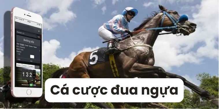 Tìm Hiểu Đua Ngựa VZ99: Cổng Thông Tin Cá Cược Thể Thao 2 Tìm Hiểu Đua Ngựa VZ99: Cổng Thông Tin Cá Cược Thể Thao